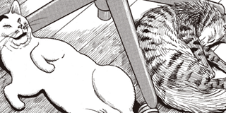 ch. 10
