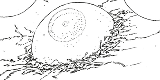 ch. 108